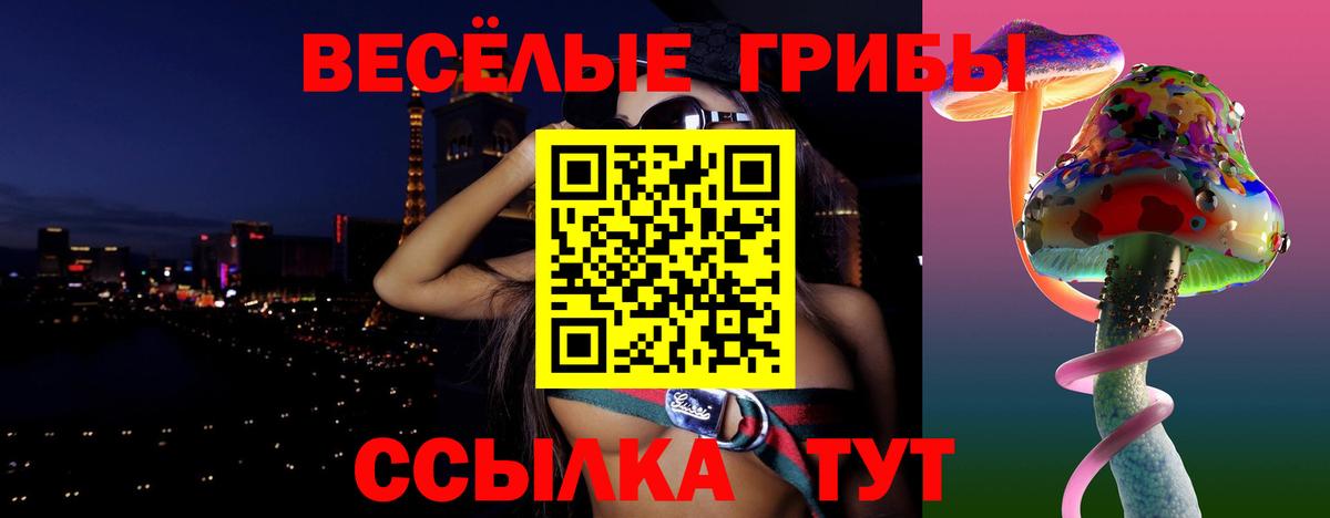 Аксай  наркота  Вход с VPN  Галлюциногенные грибы Psilocybine cubensis  Галлюциногенные грибы Psilocybe 